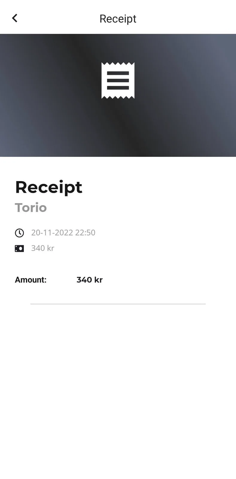 A receipt detail screen from the development app.